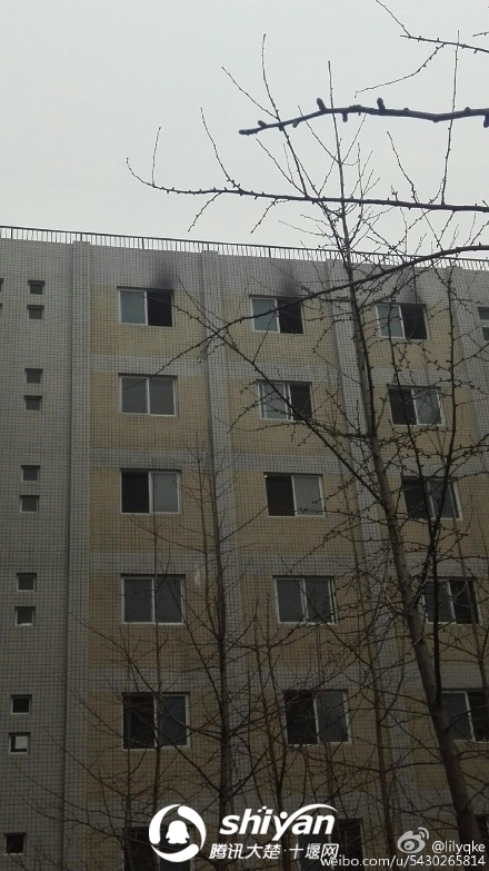 005VuQcujw1f23044poi9j30qo1bhk2m.jpg