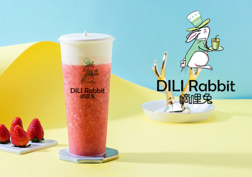 DILI Rabbit̲ô