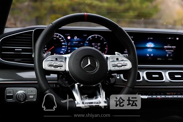 ˫+9ATȫʱӳ֣AMG GLE 53ͷʳ-16.jpg