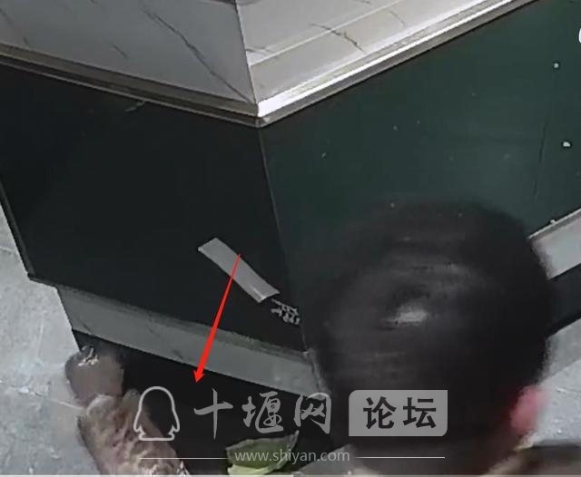 湖北十堰：醉酒男子饭店内一通乱砸，活活咬死3斤重活鱼，被拘留9天-5.jpg
